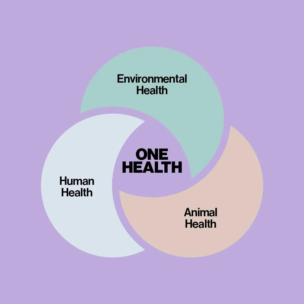 One Health